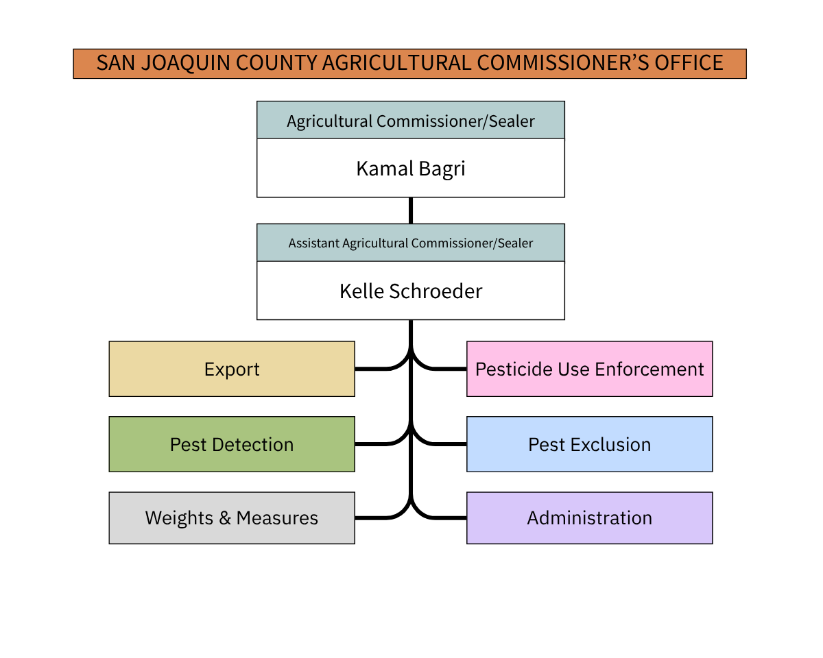 SJC AGR High Level Org Chart