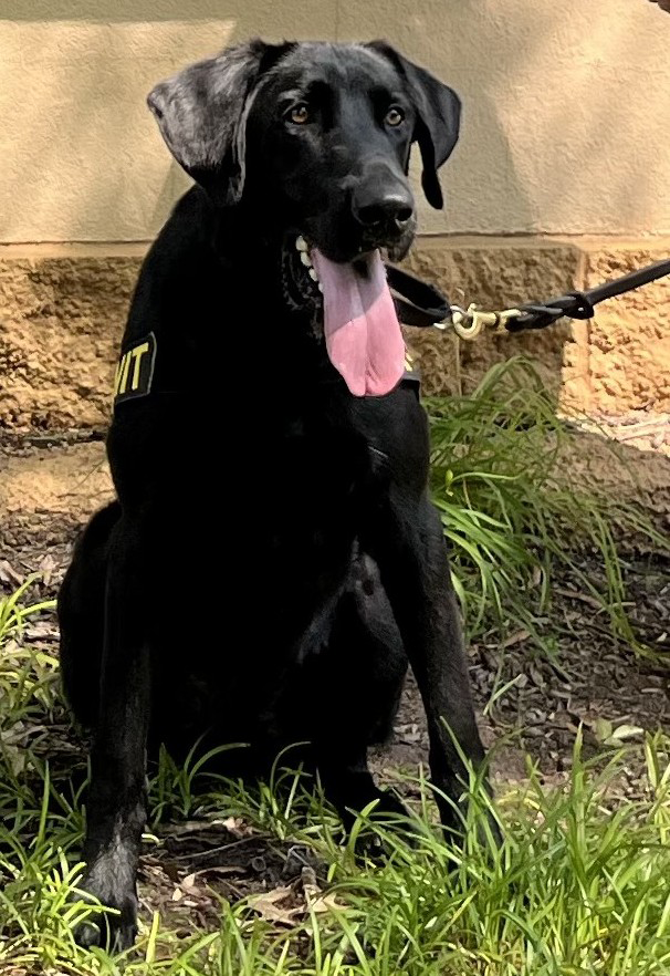 Waylon