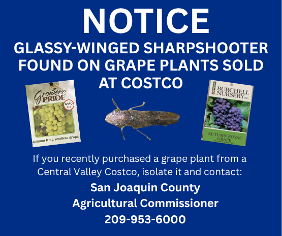 Public Notice