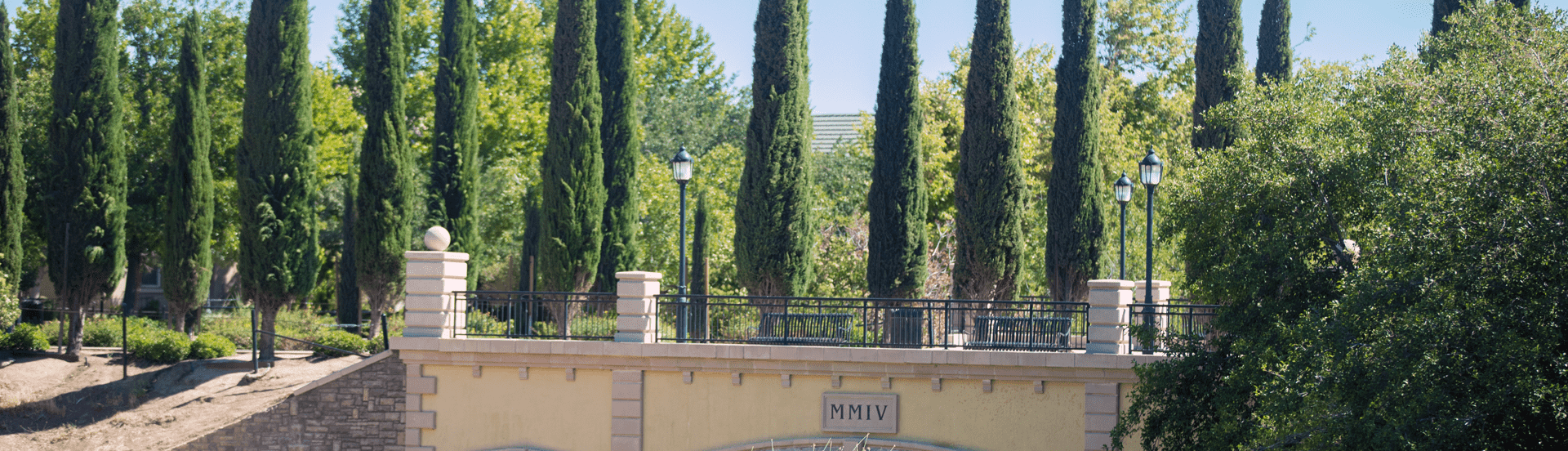 Bridge structure in wooded public area