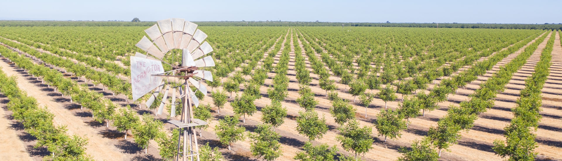 Windmill centered in a vast field of crops