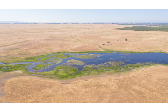 Aerial view of a small wetland surrounded by dry grassland with a few trees and distant farmland