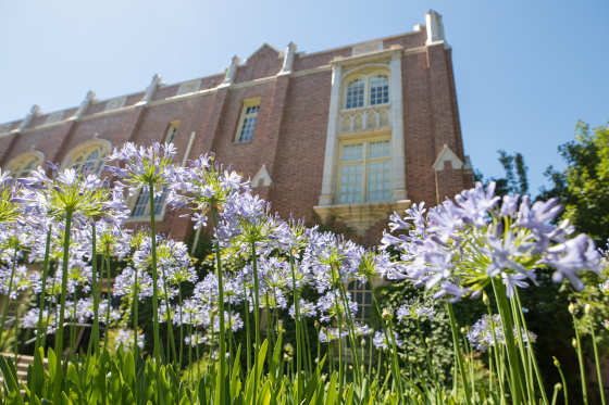 Flowers near brick building