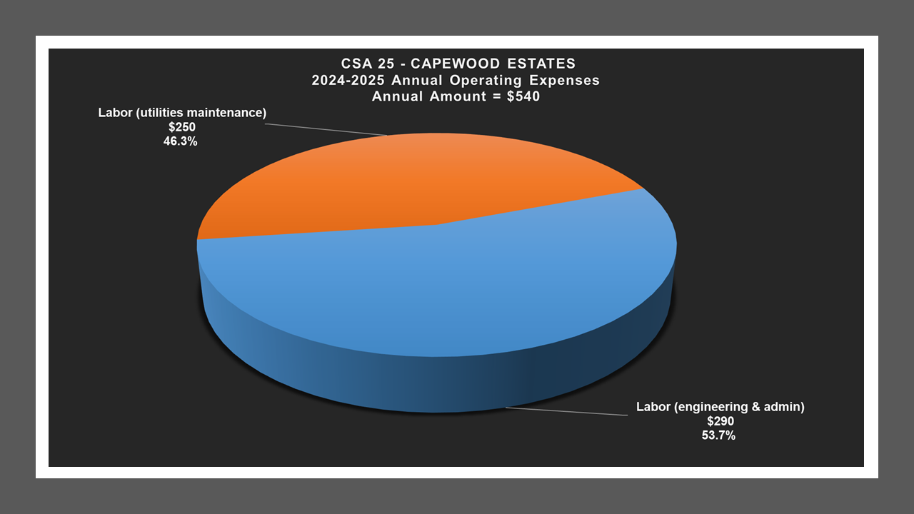 CSA 25 - Expense Report