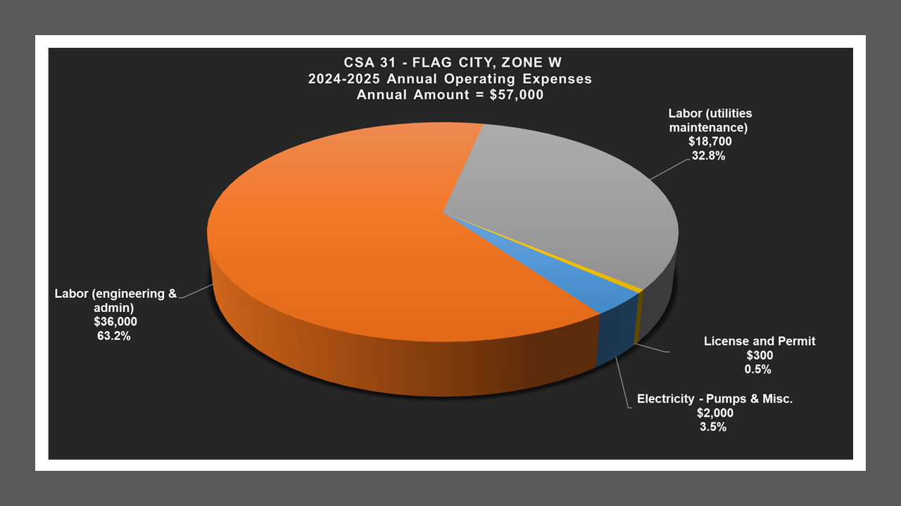 CSA 31 Zone W - Expense Report