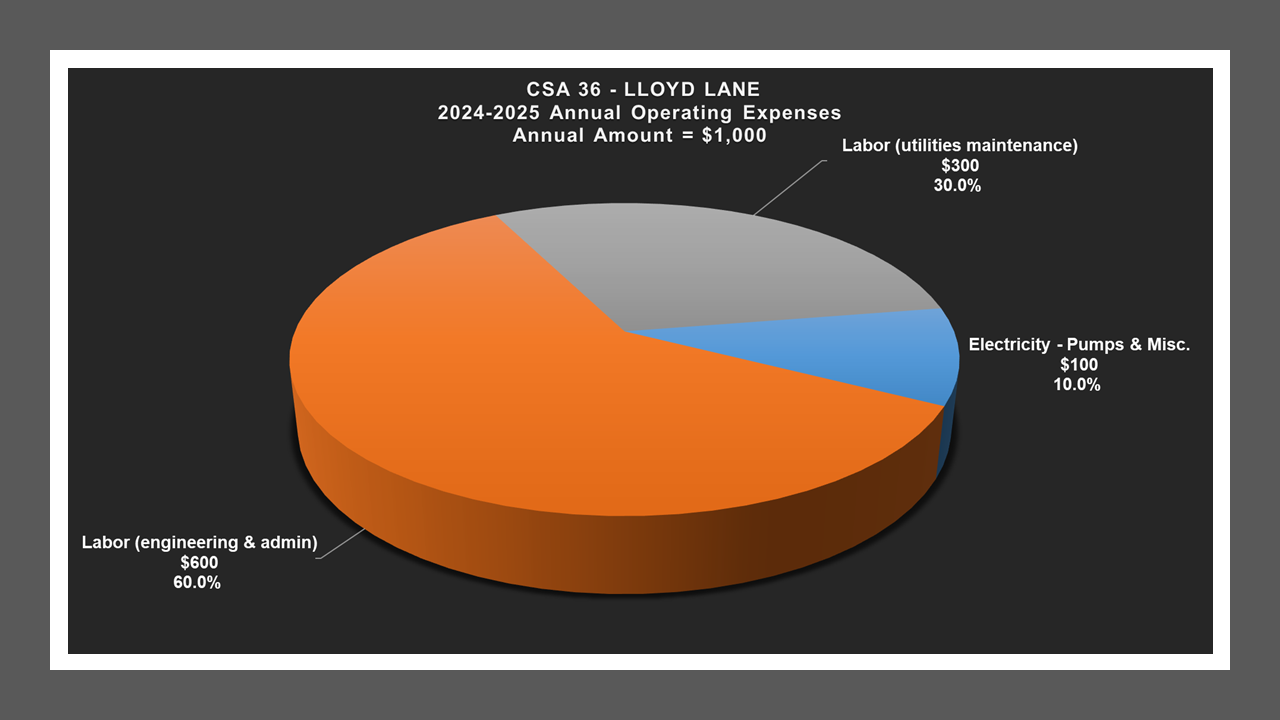 CSA 36 - Expense Report