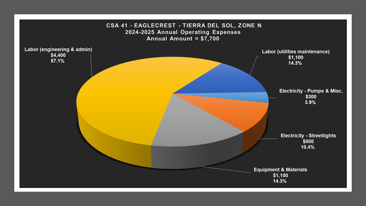 CSA 41 Zone N - Expense Report