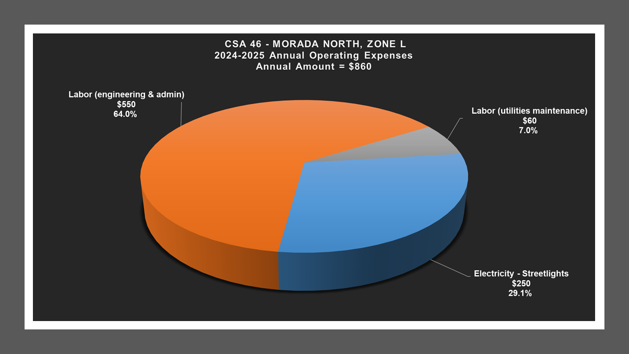 CSA 46 Zone L - Expense Report