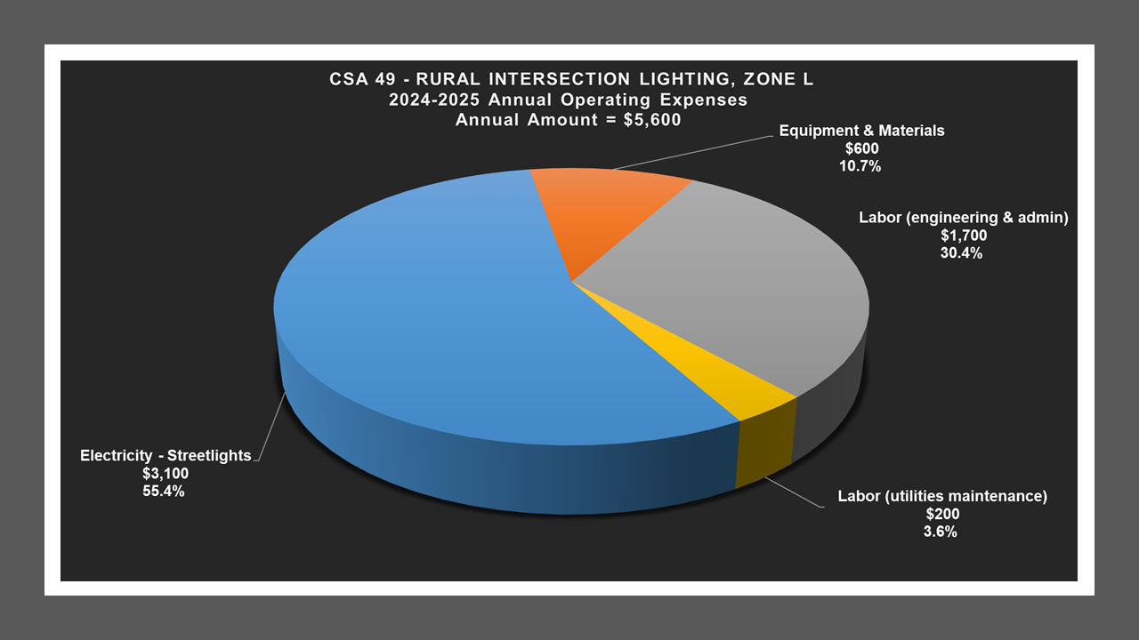 CSA 49 Zone L - Expense Report