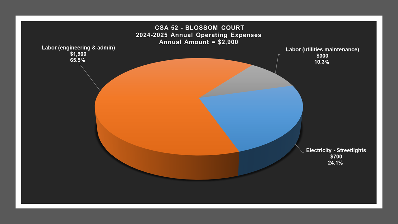 CSA 52 - Expense Report