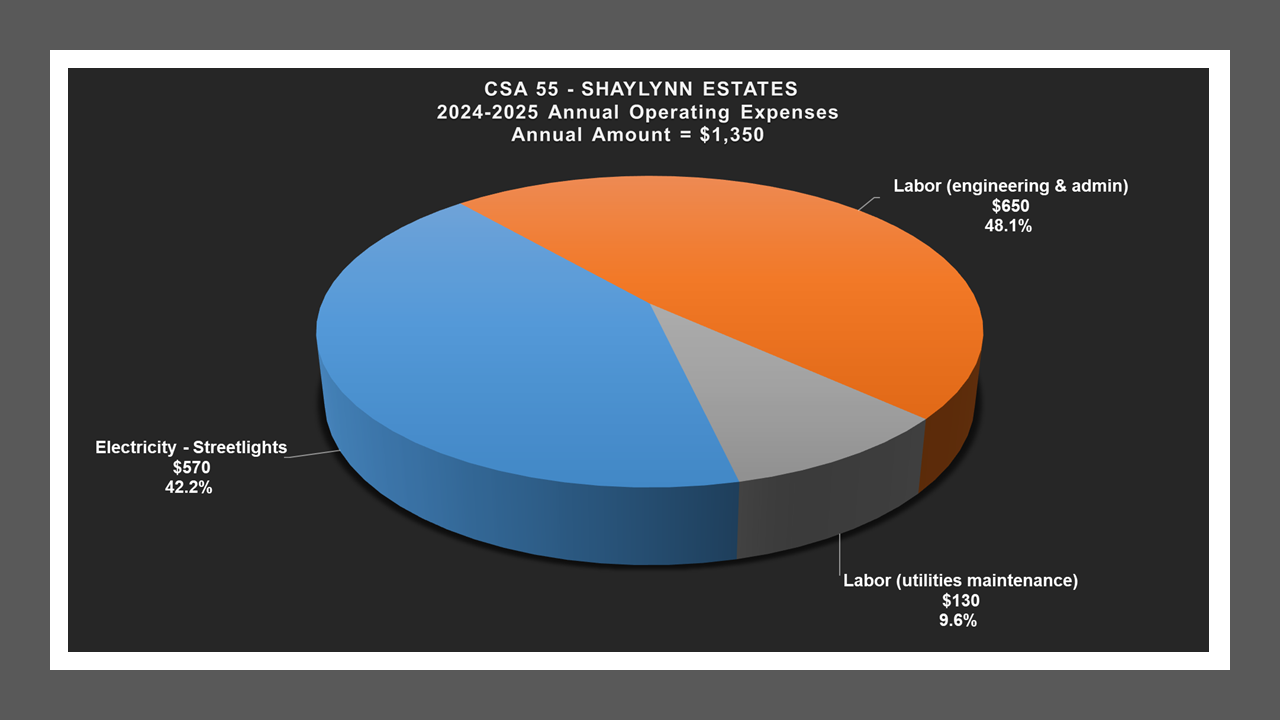 CSA 55 - Expense Report